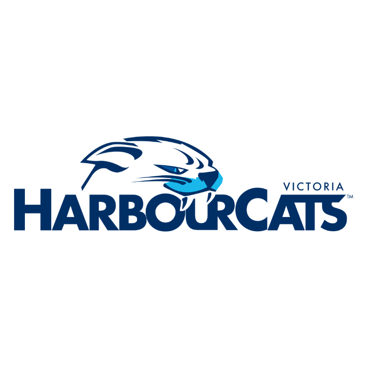 Harbour Cats